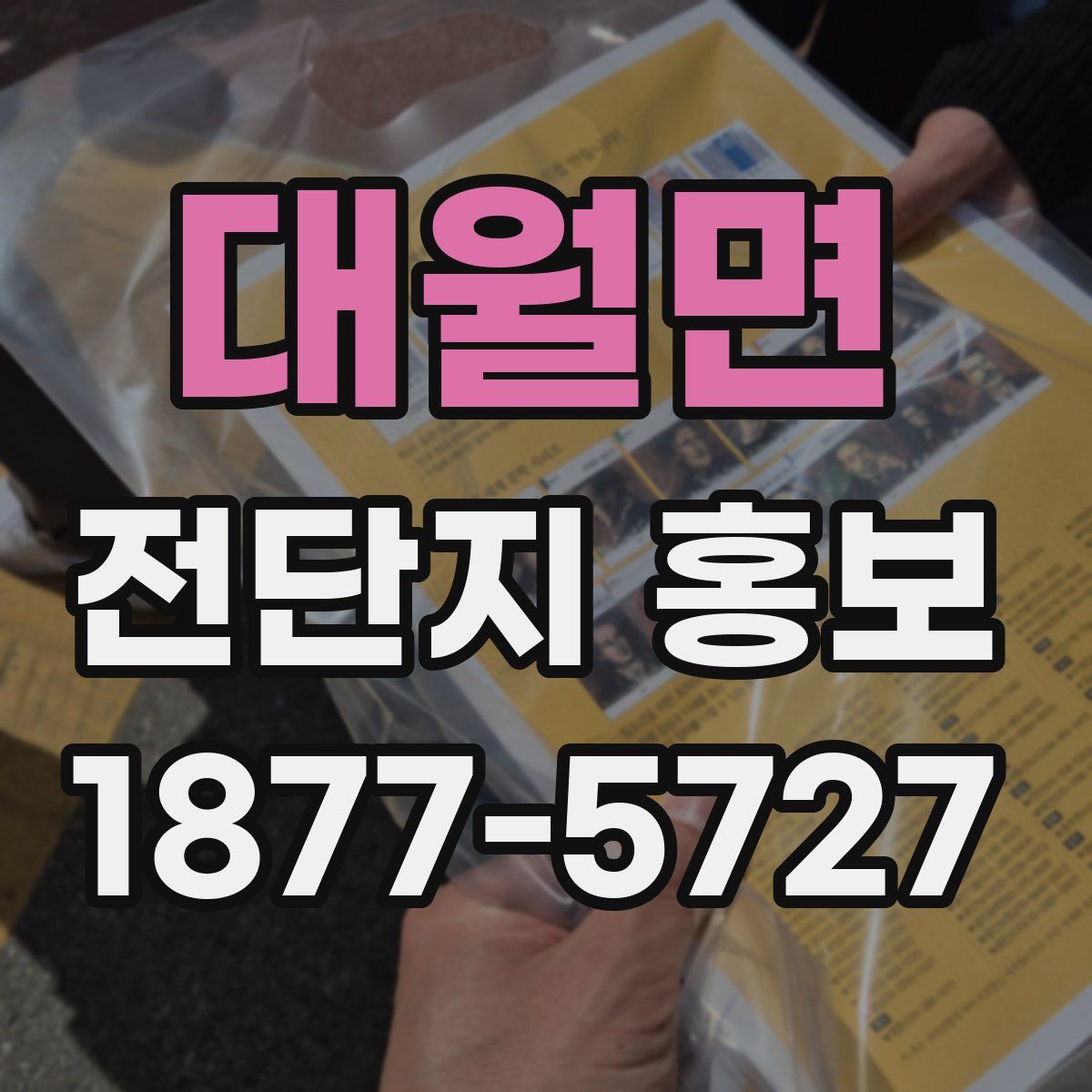 대월면 전단지 홍보
