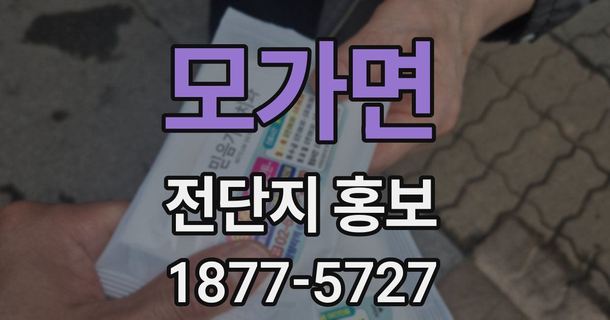 모가면 전단지 홍보