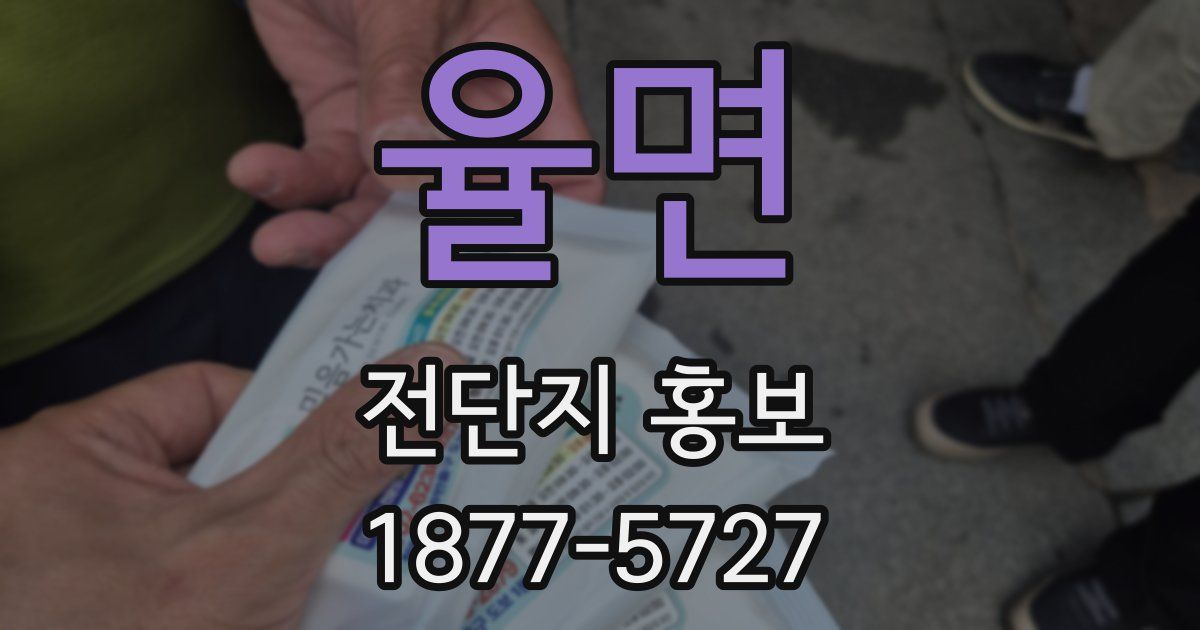 율면 전단지 홍보