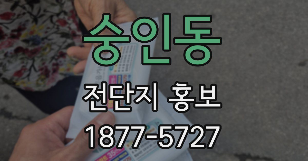 숭인동 전단지 홍보