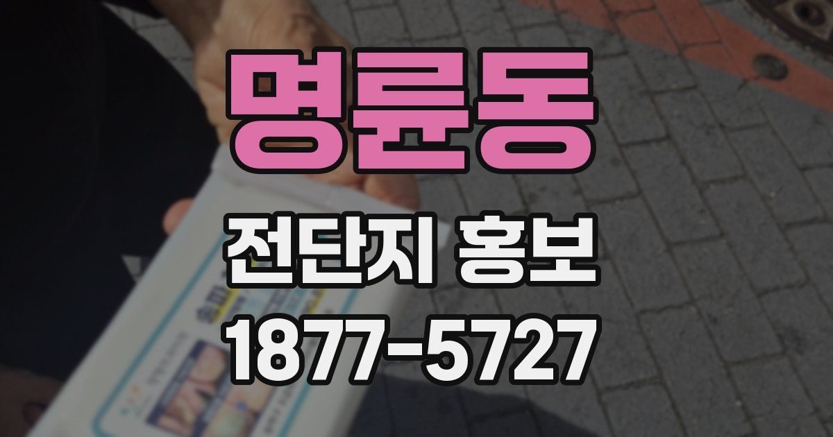 명륜동 전단지 홍보