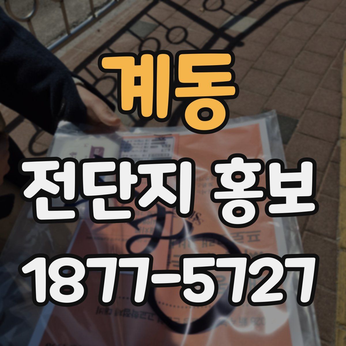 계동 전단지 홍보