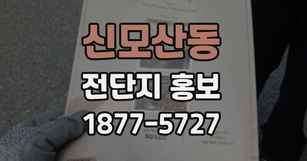 신모산동 전단지 홍보