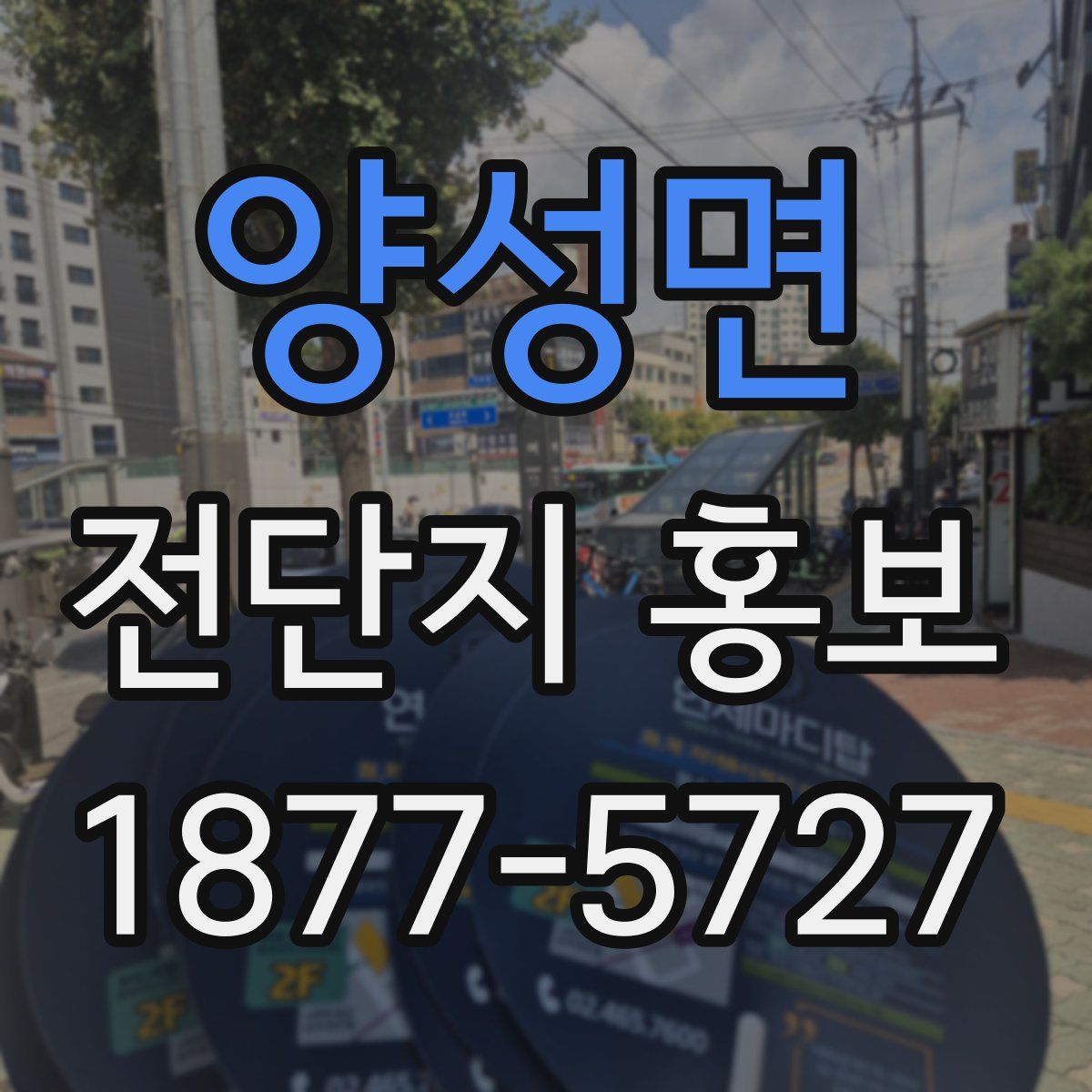 양성면 전단지 홍보