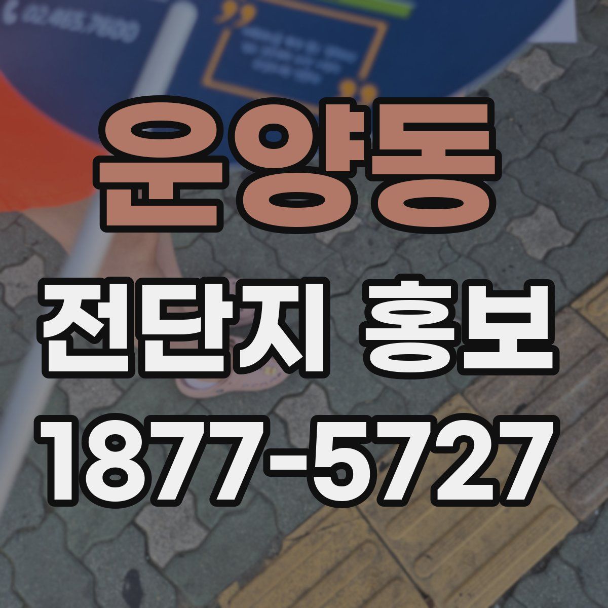 운양동 전단지 홍보