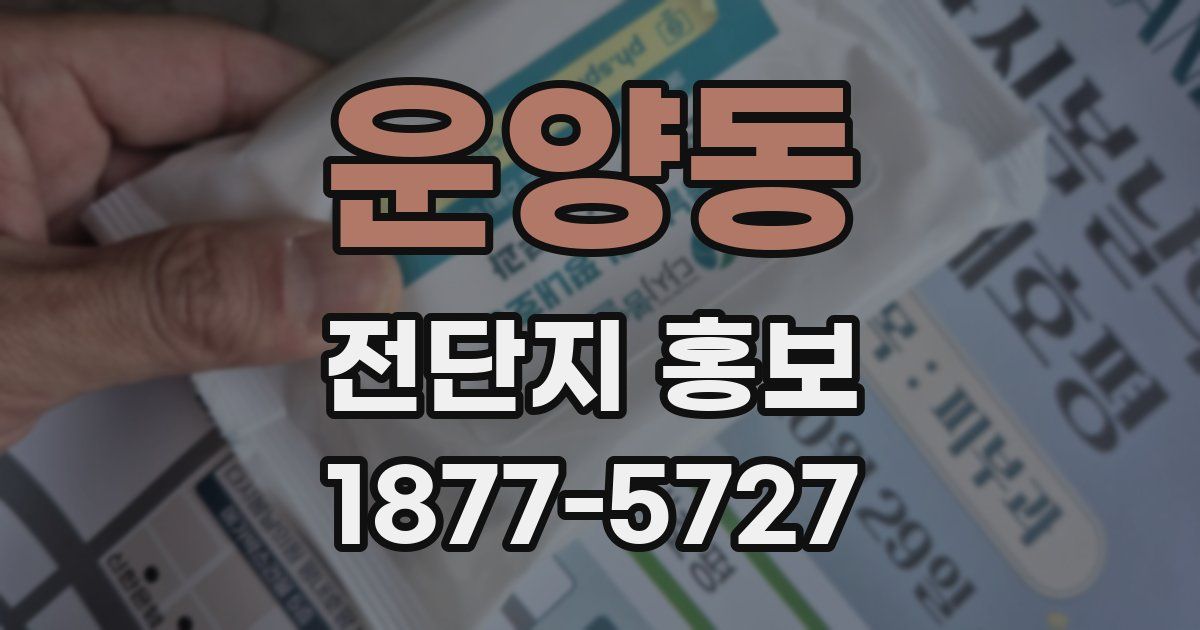 운양동 전단지 홍보