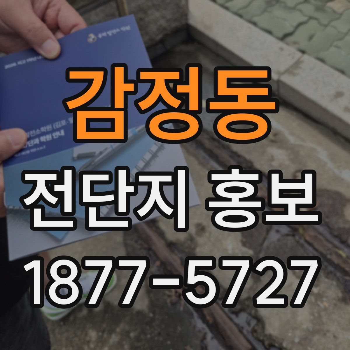 감정동 전단지 홍보