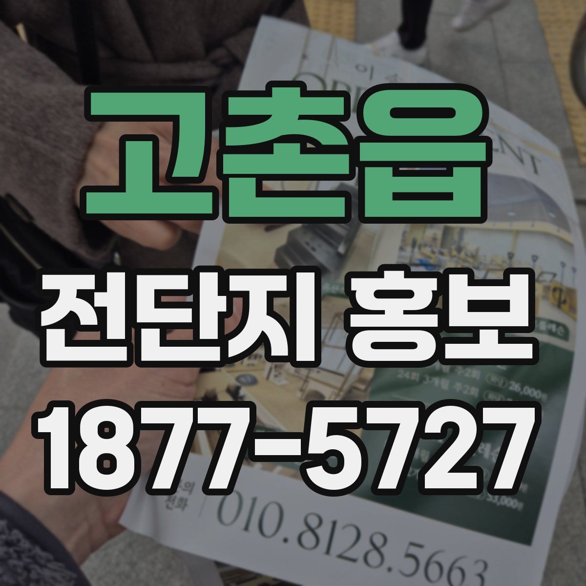 고촌읍 전단지 홍보
