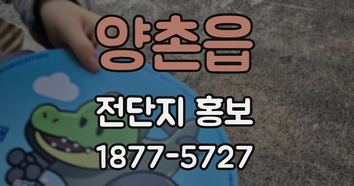 양촌읍 전단지 홍보