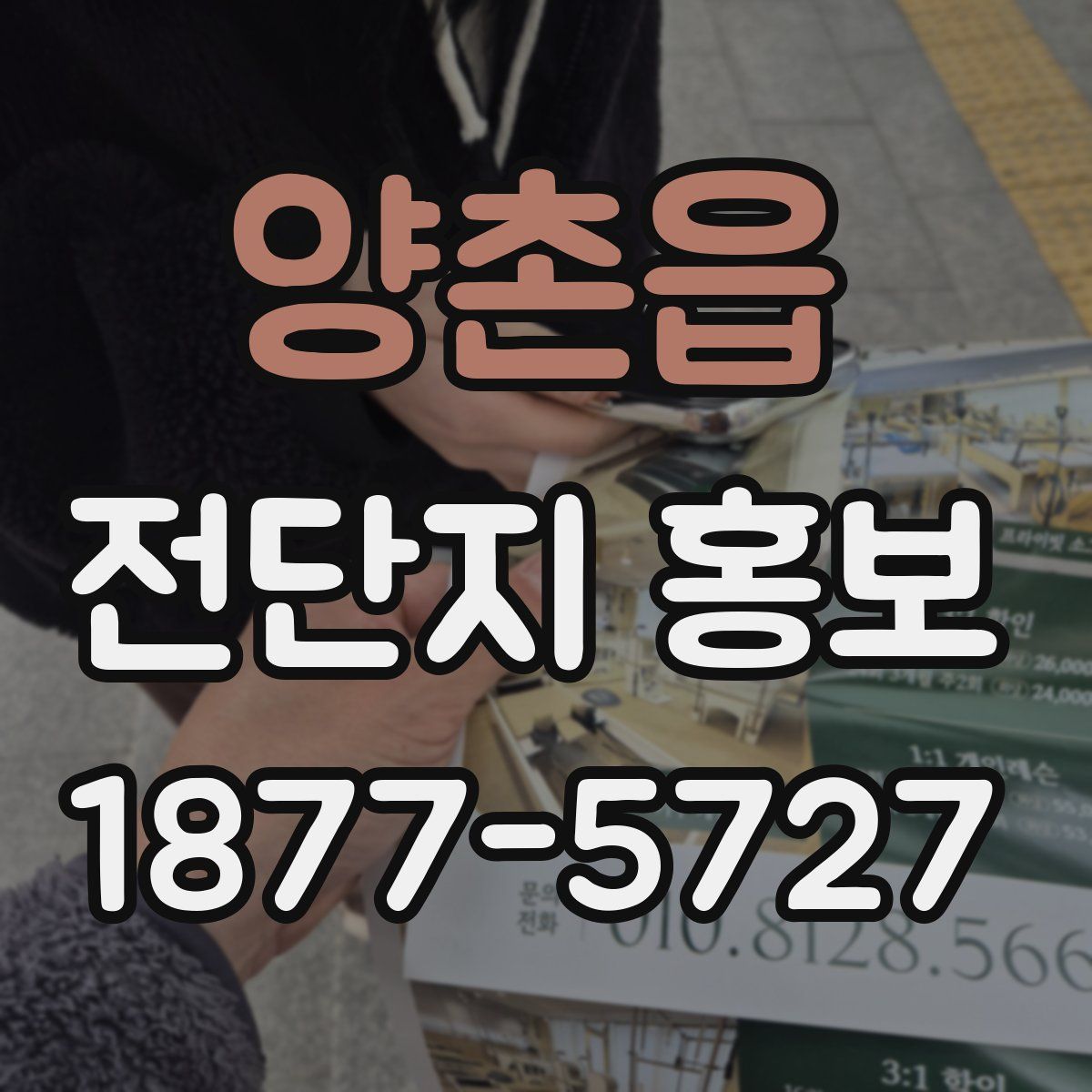 양촌읍 전단지 홍보