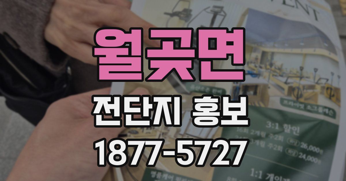 월곶면 전단지 홍보