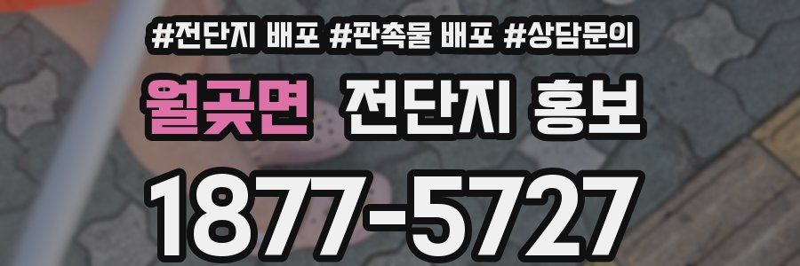 월곶면 전단지 홍보