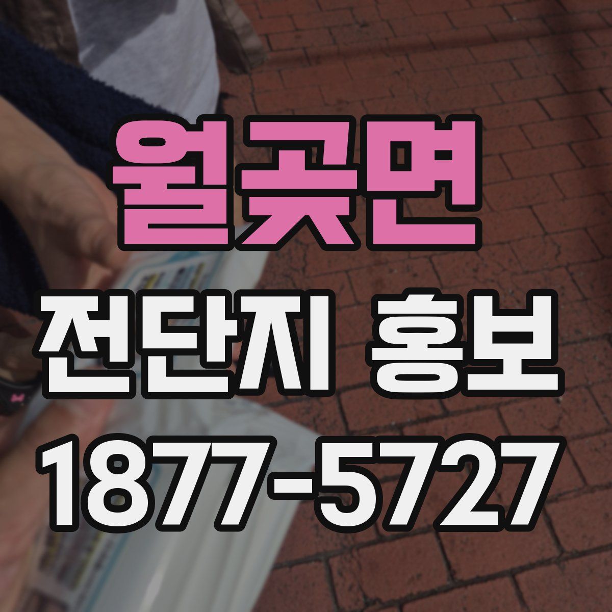 월곶면 전단지 홍보