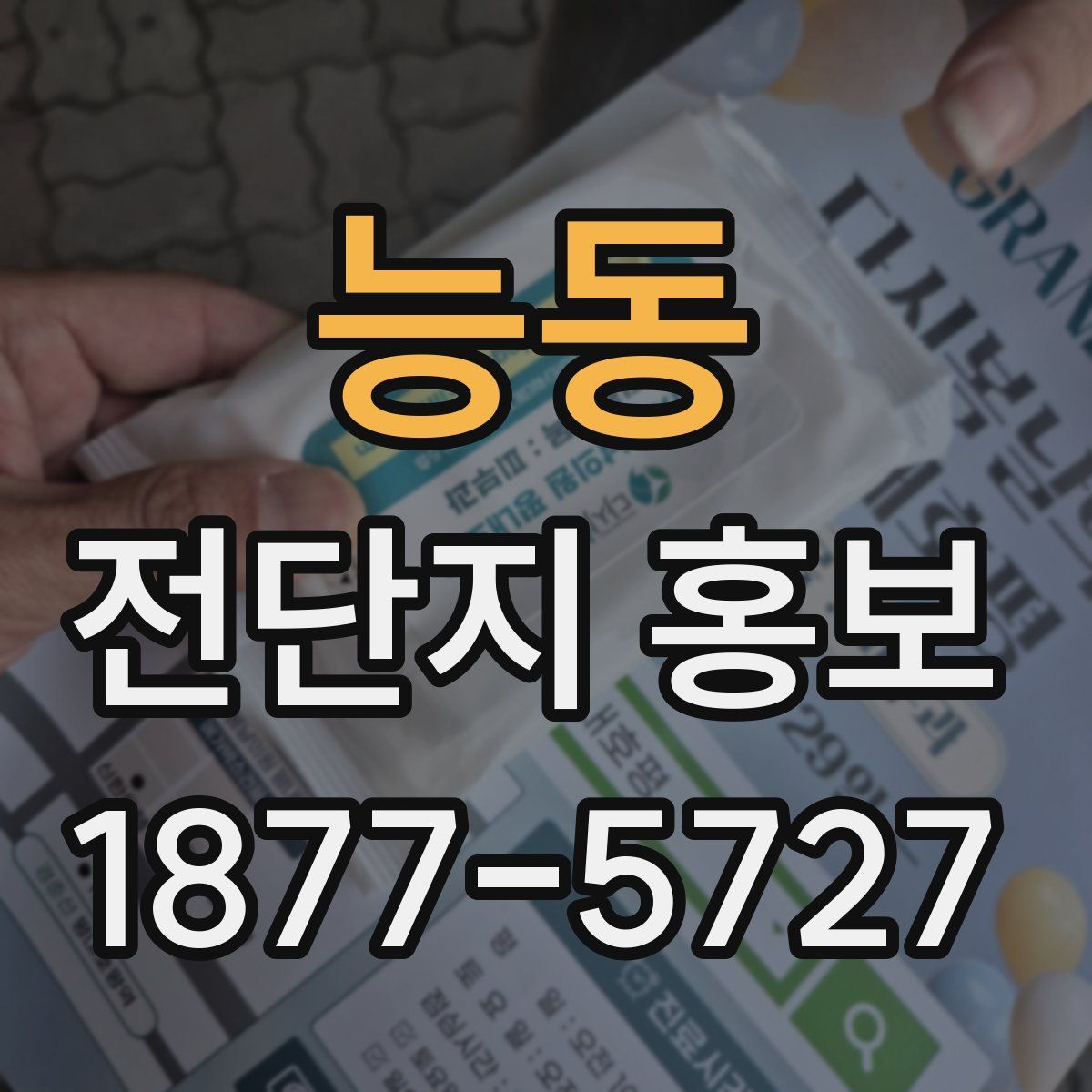 능동 전단지 홍보