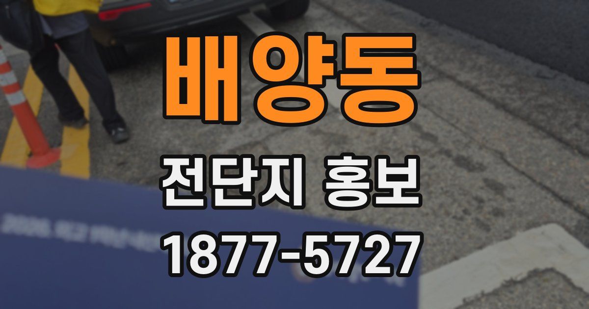 배양동 전단지 홍보