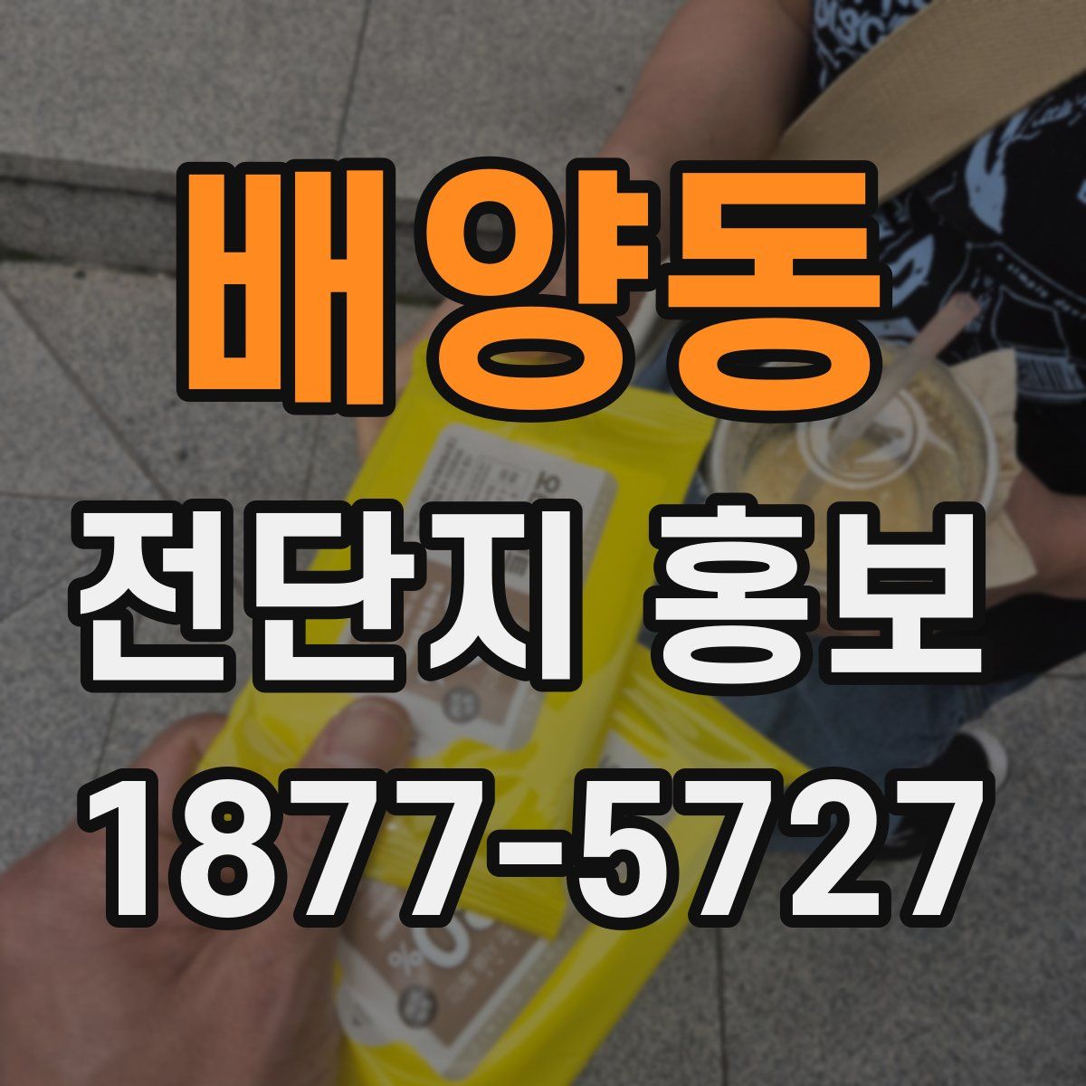 배양동 전단지 홍보