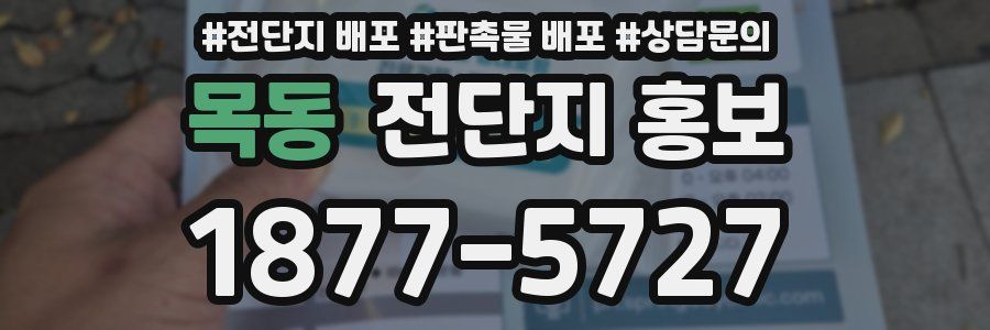 목동 전단지 홍보
