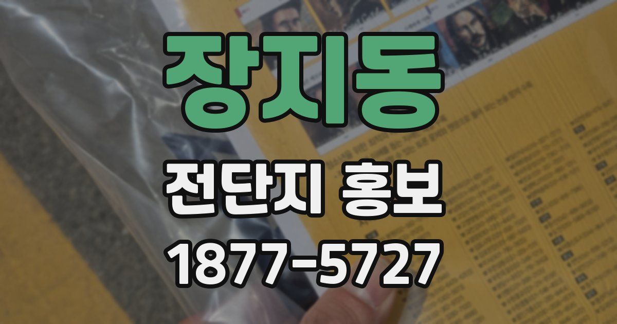 장지동 전단지 홍보