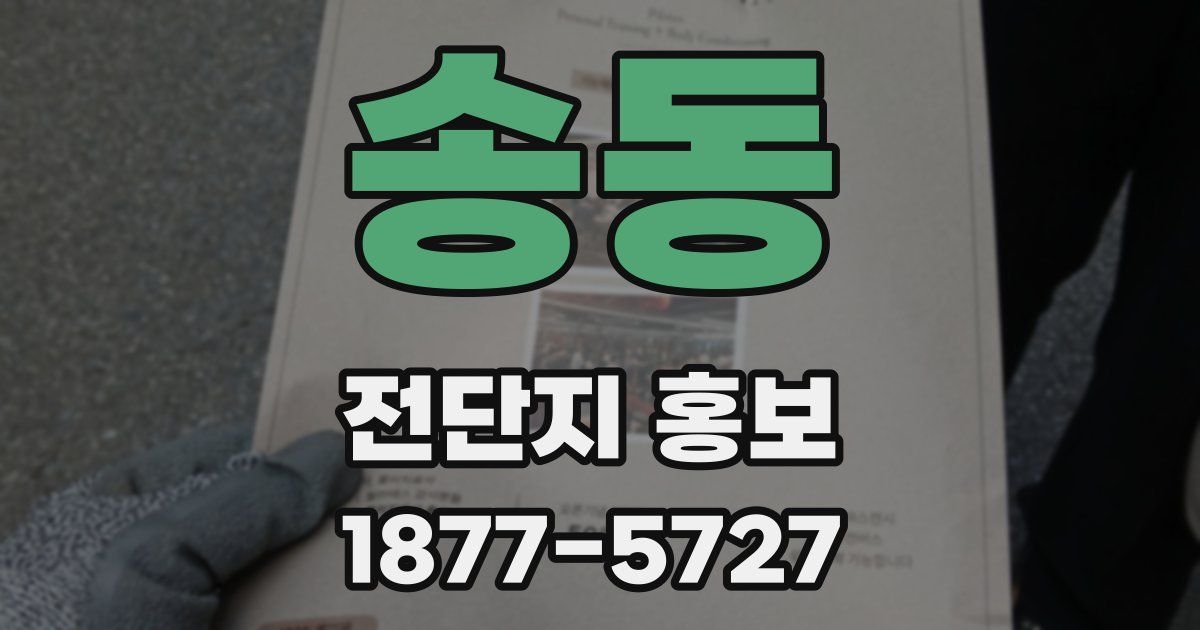 송동 전단지 홍보