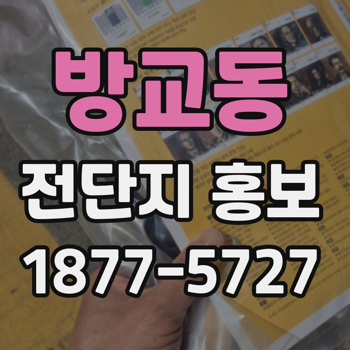 방교동 전단지 홍보