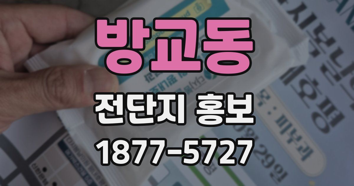 방교동 전단지 홍보