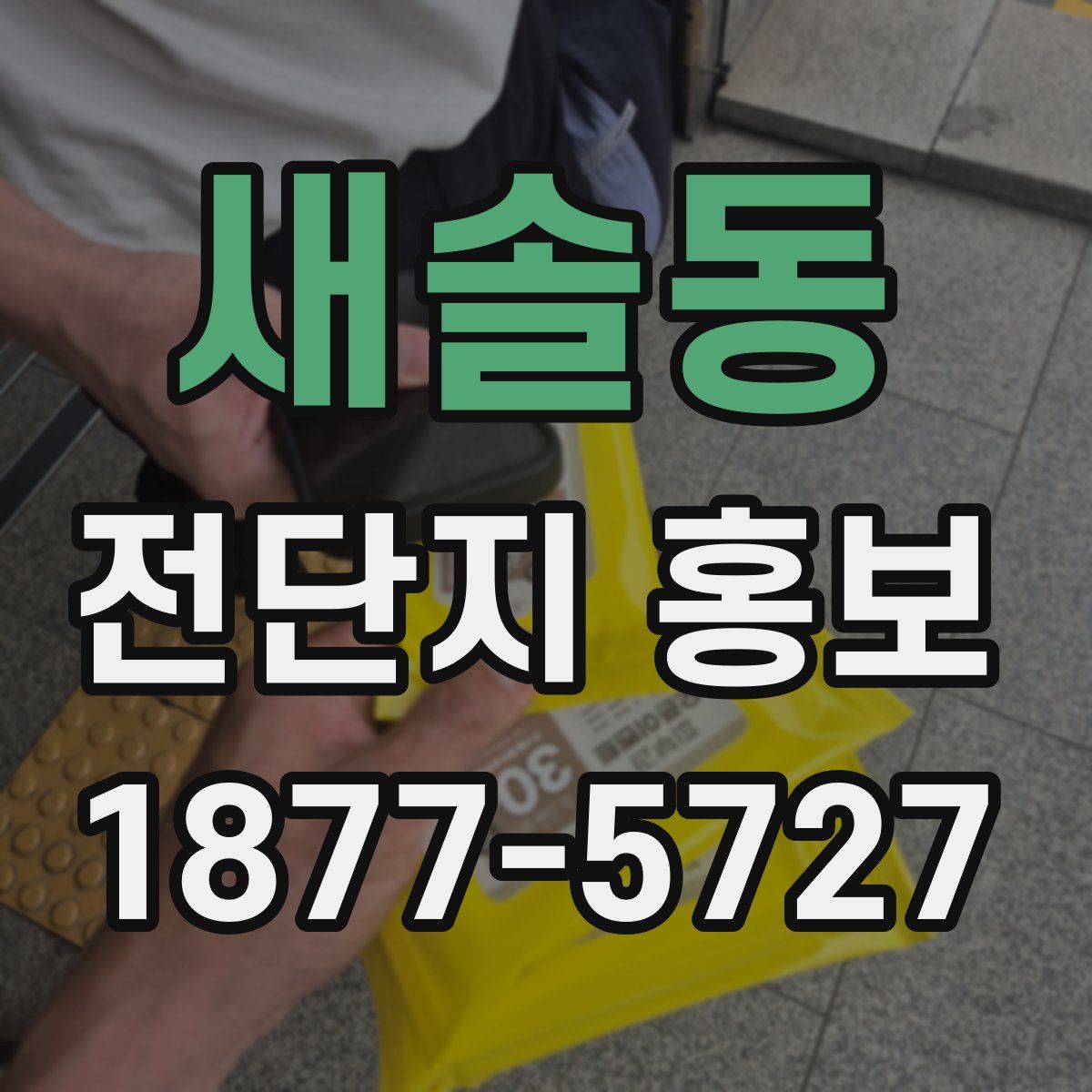 새솔동 전단지 홍보