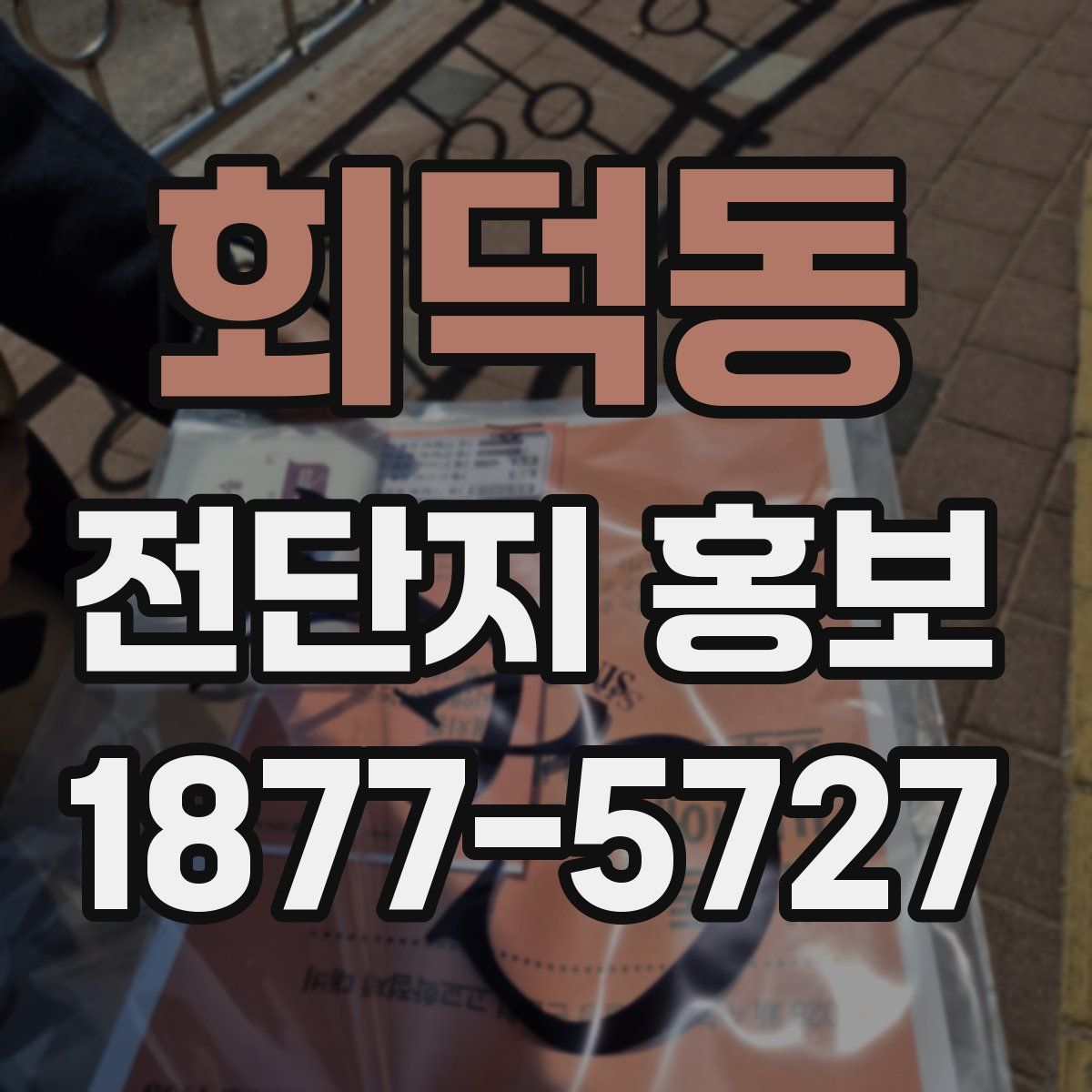 회덕동 전단지 홍보