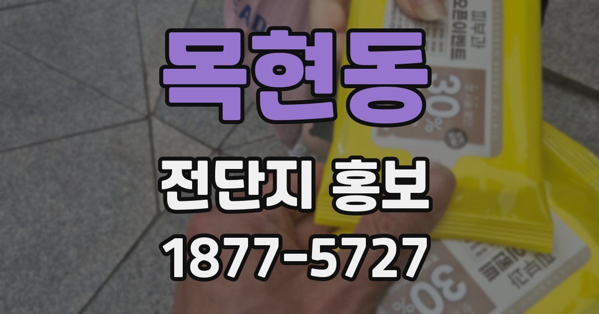 목현동 전단지 홍보