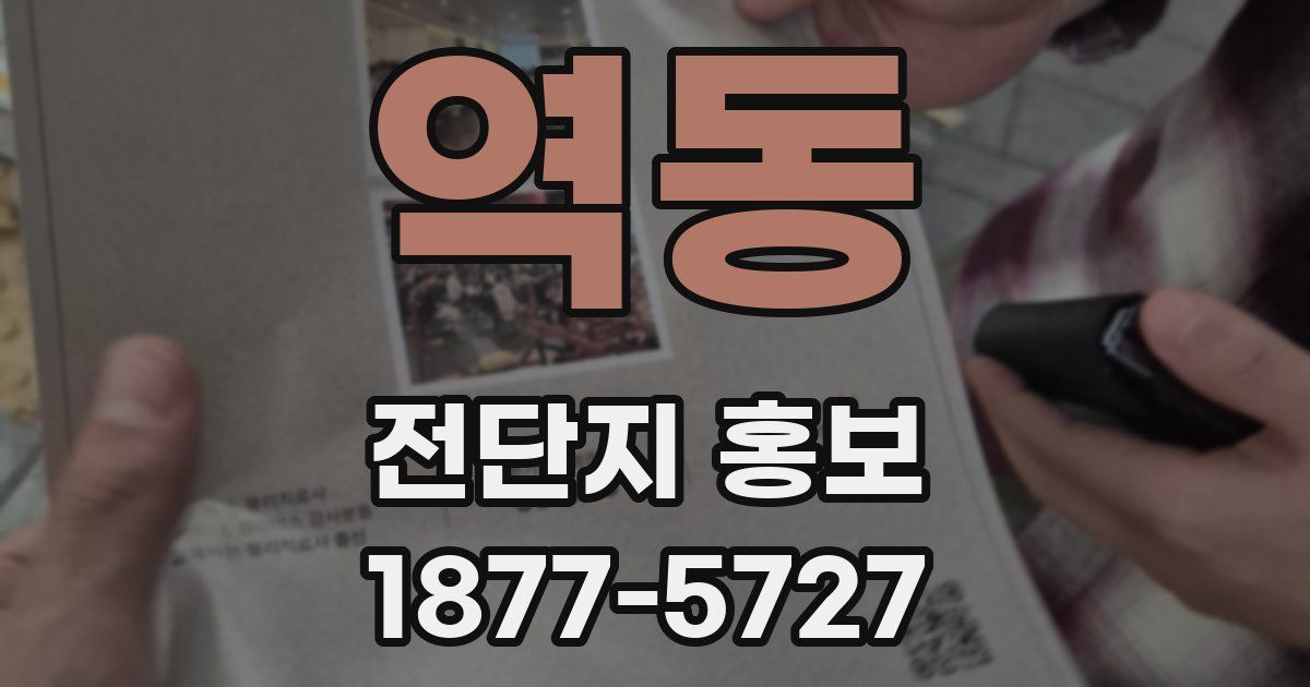 역동 전단지 홍보