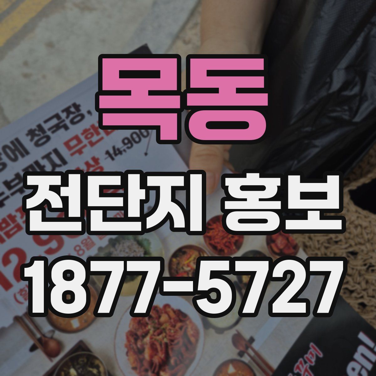 목동 전단지 홍보
