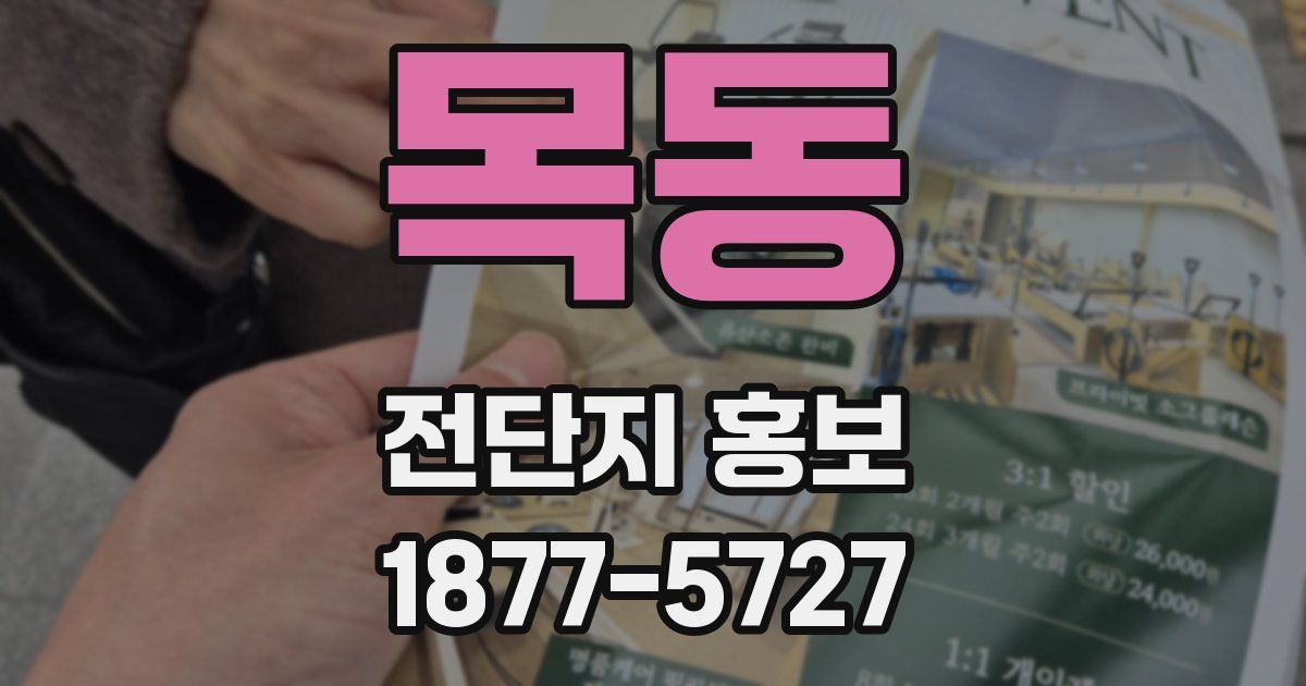 목동 전단지 홍보