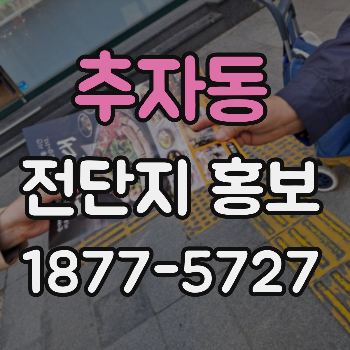 추자동 전단지 홍보