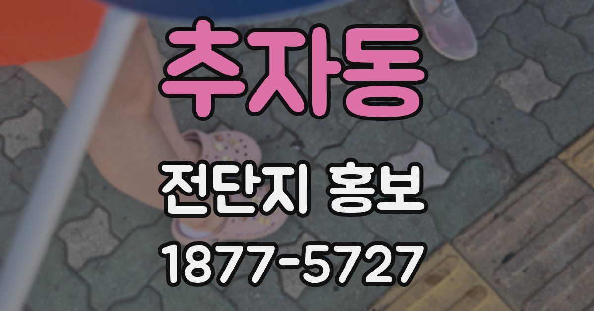 추자동 전단지 홍보