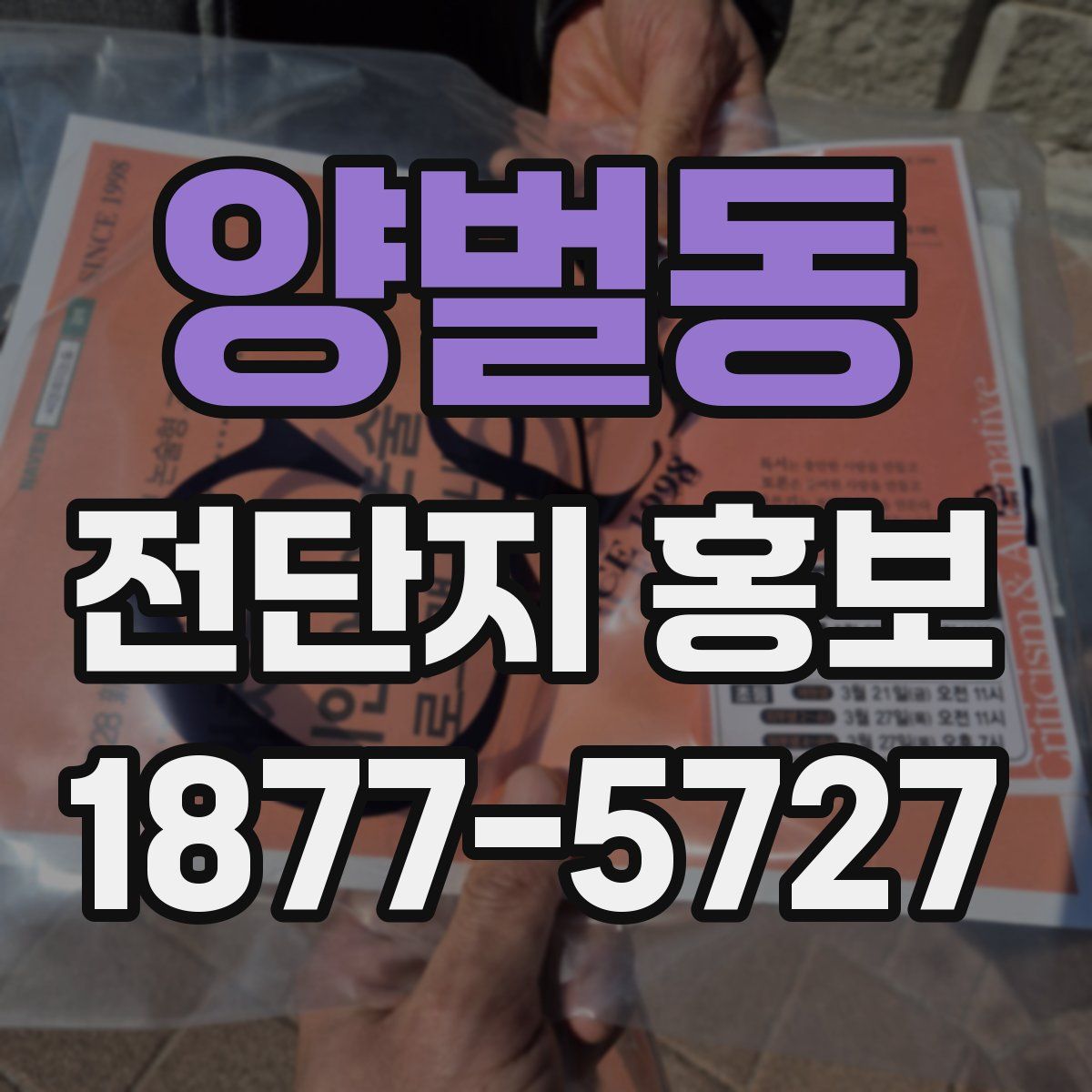 양벌동 전단지 홍보