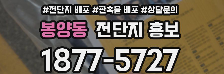 봉양동 전단지 홍보