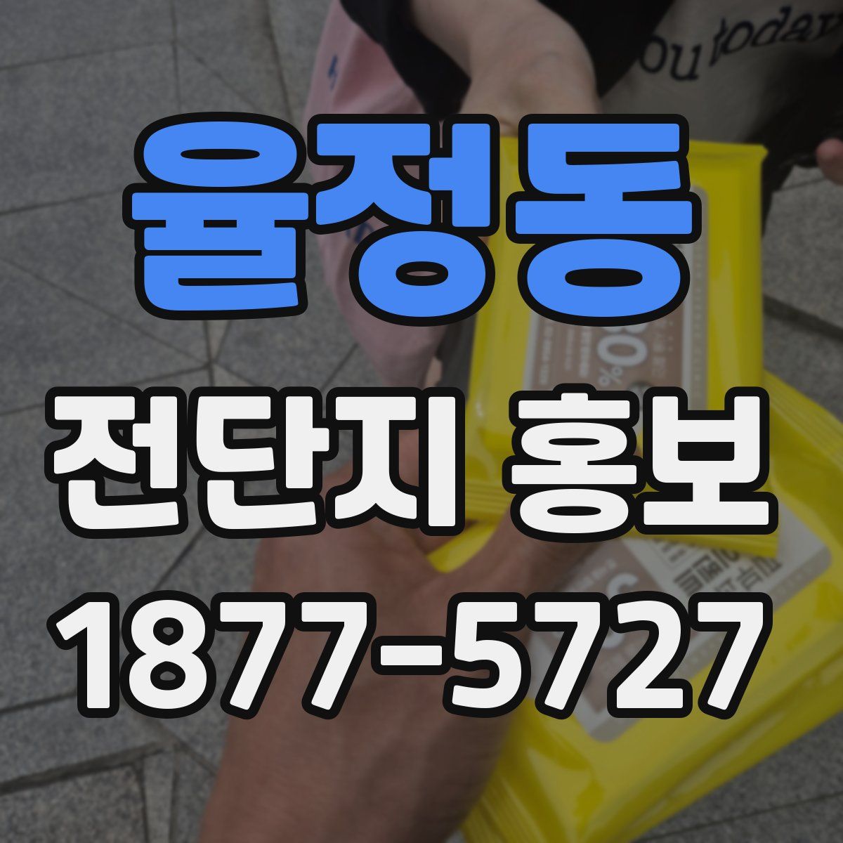 율정동 전단지 홍보