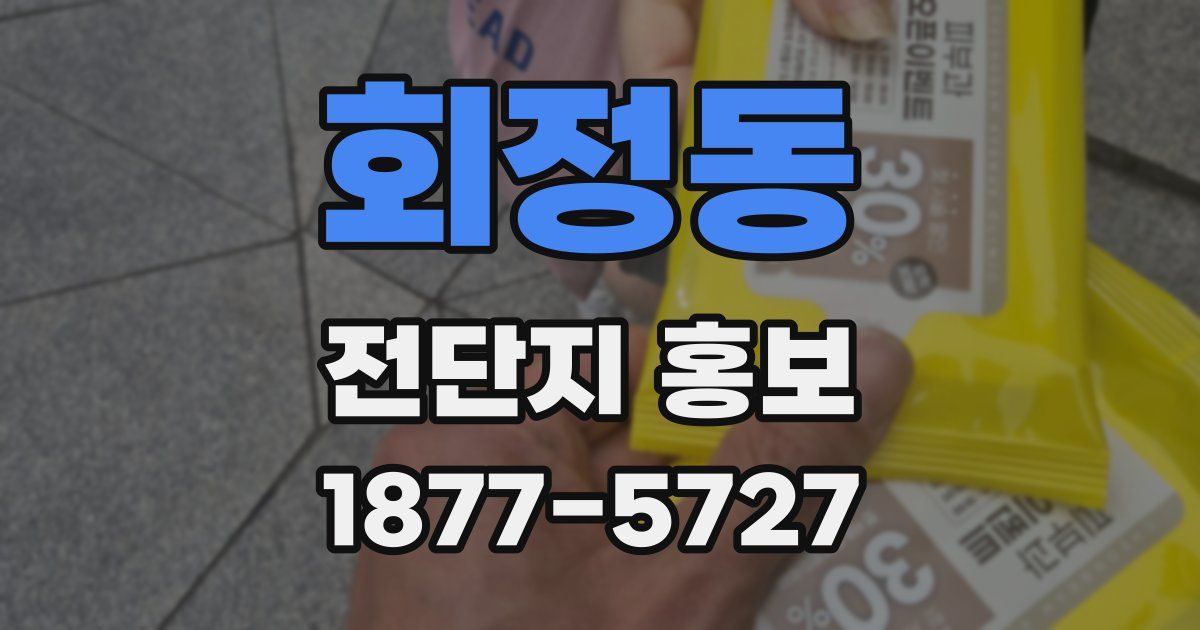 회정동 전단지 홍보