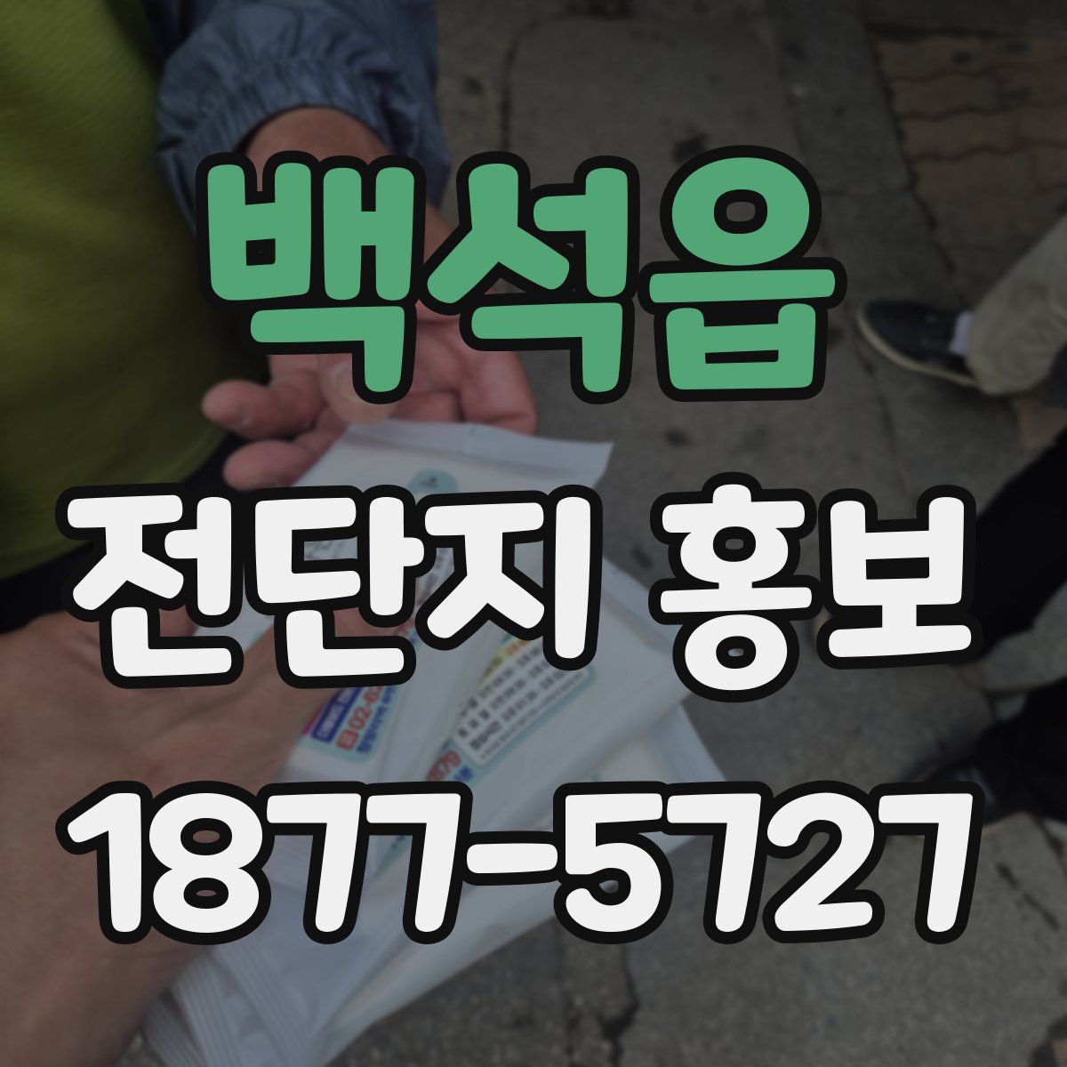 백석읍 전단지 홍보