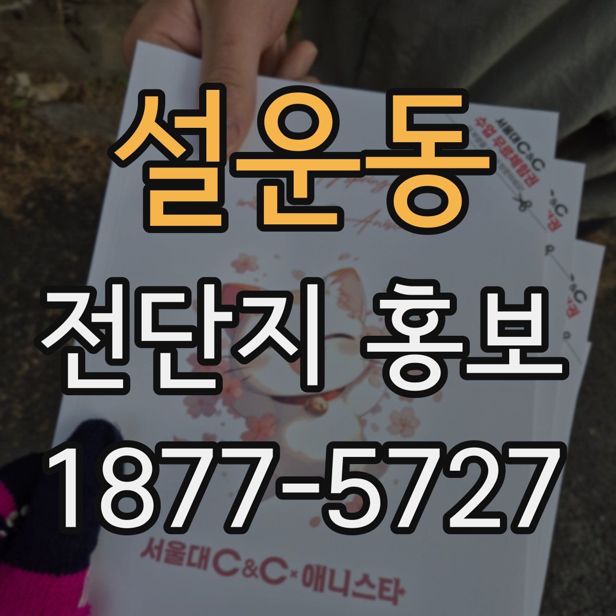 설운동 전단지 홍보