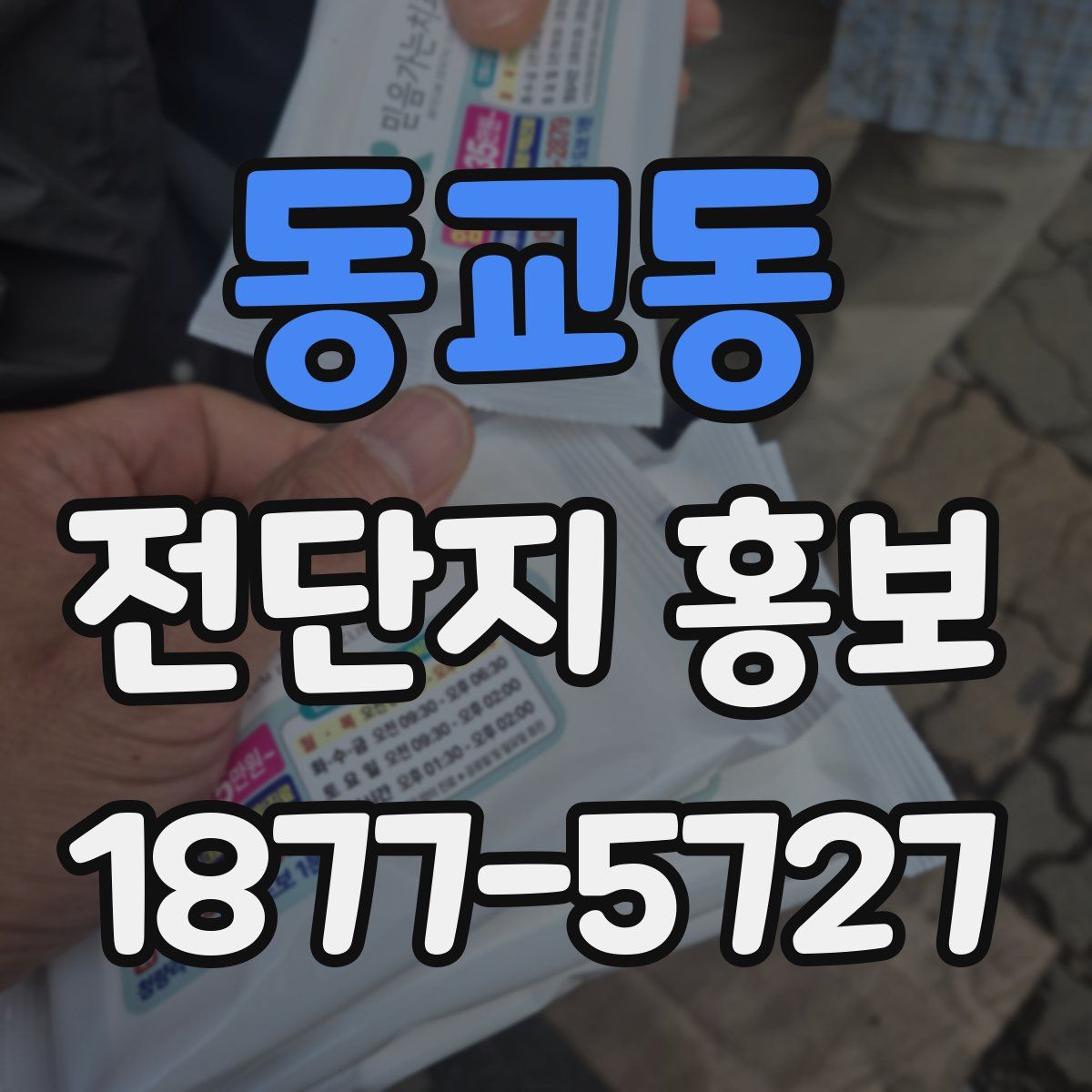 동교동 전단지 홍보