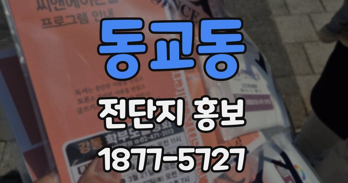 동교동 전단지 홍보