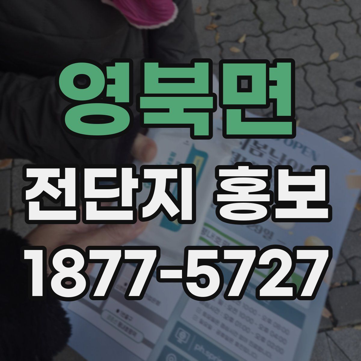 영북면 전단지 홍보