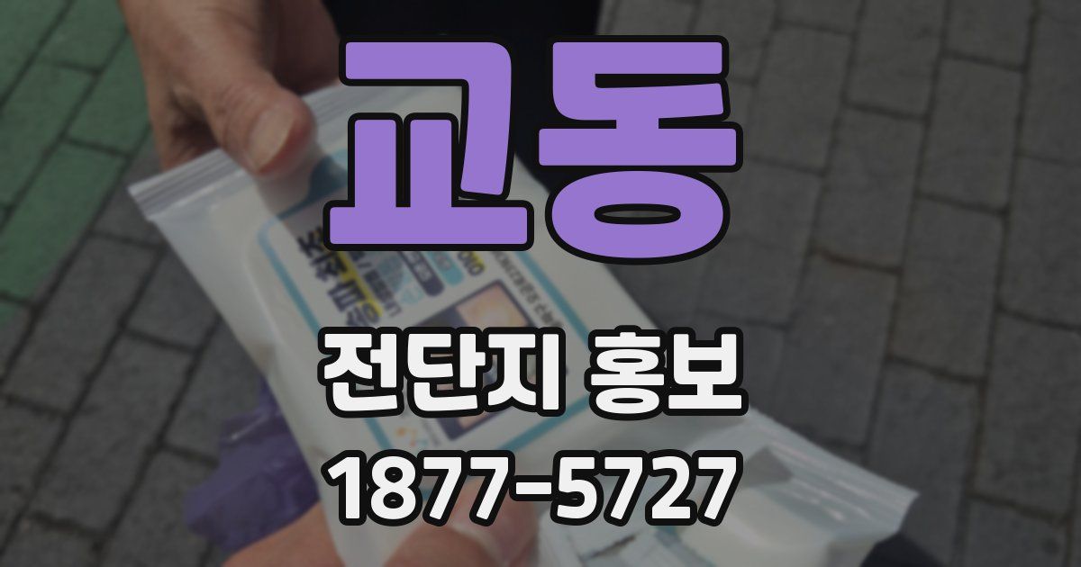 교동 전단지 홍보