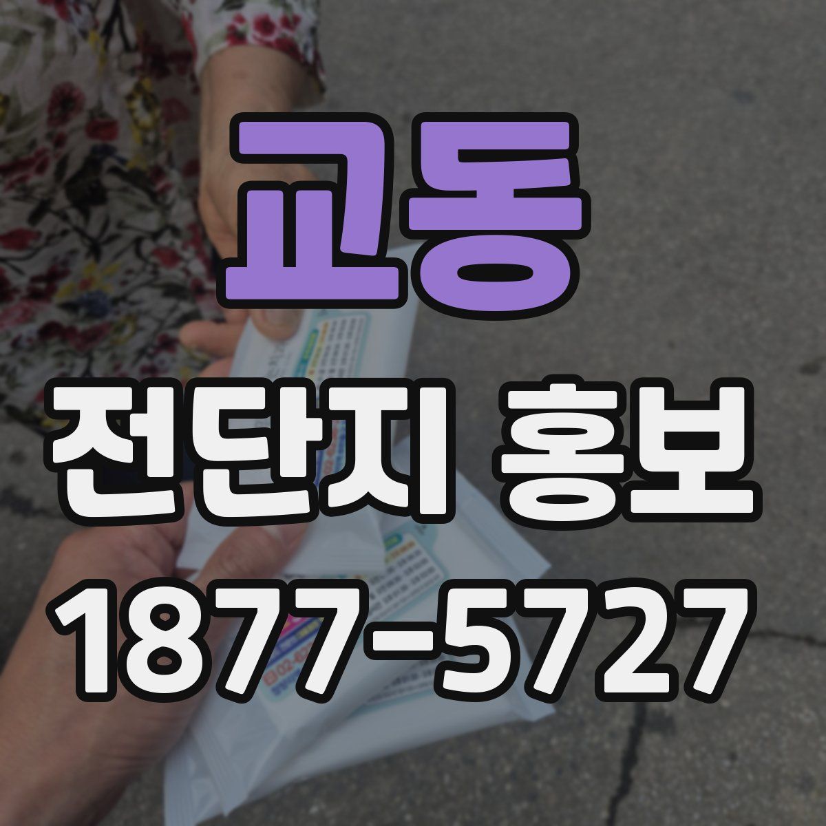 교동 전단지 홍보