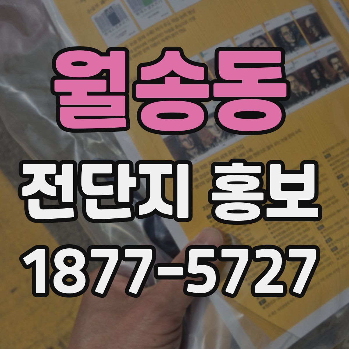 월송동 전단지 홍보