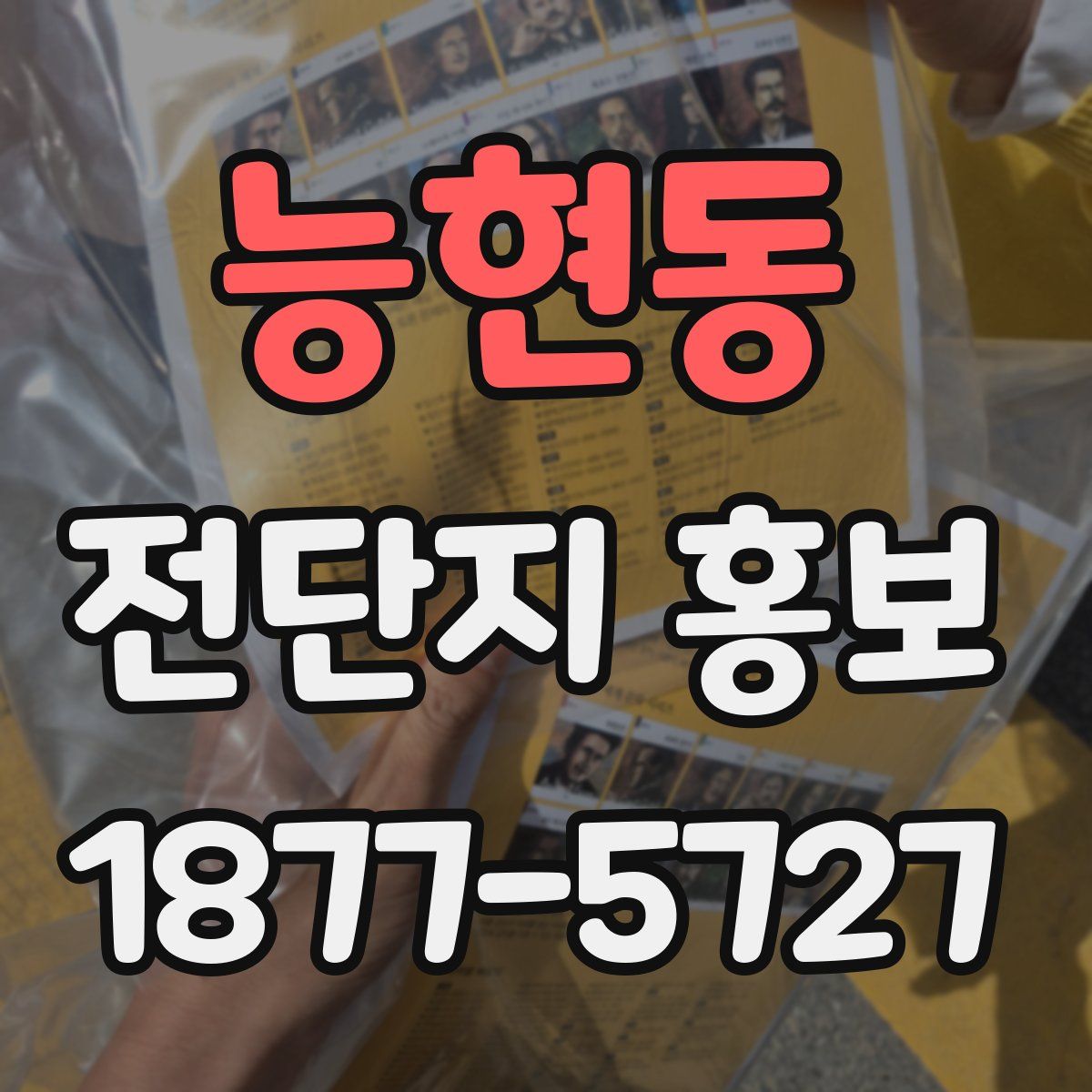 능현동 전단지 홍보