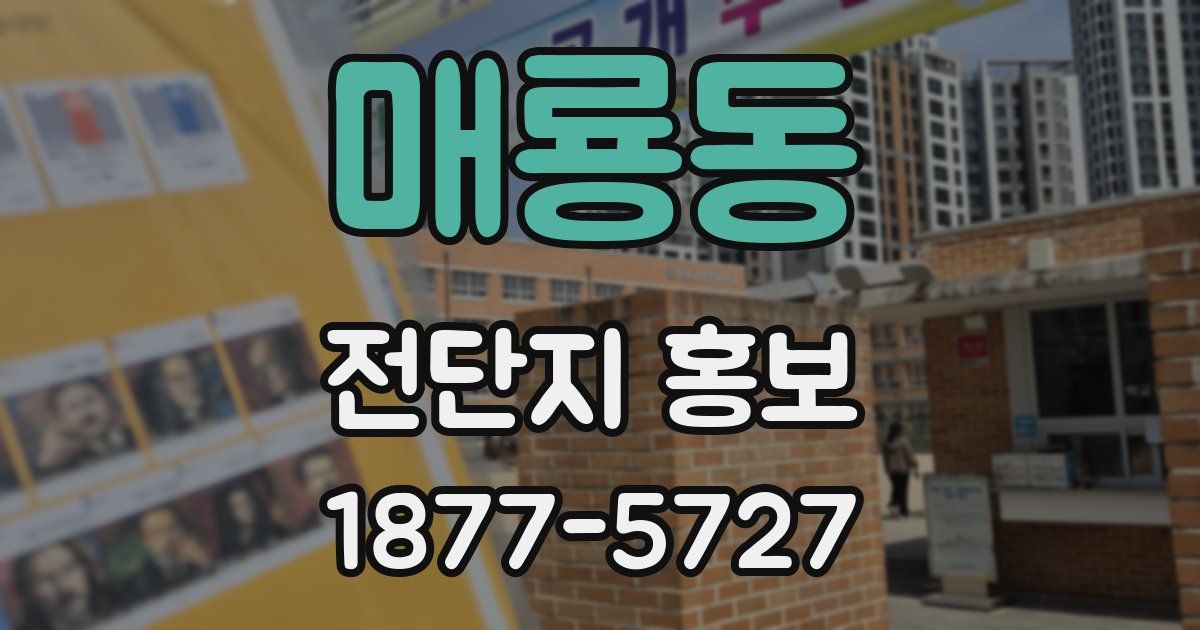 매룡동 전단지 홍보