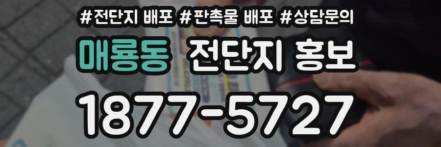 매룡동 전단지 홍보