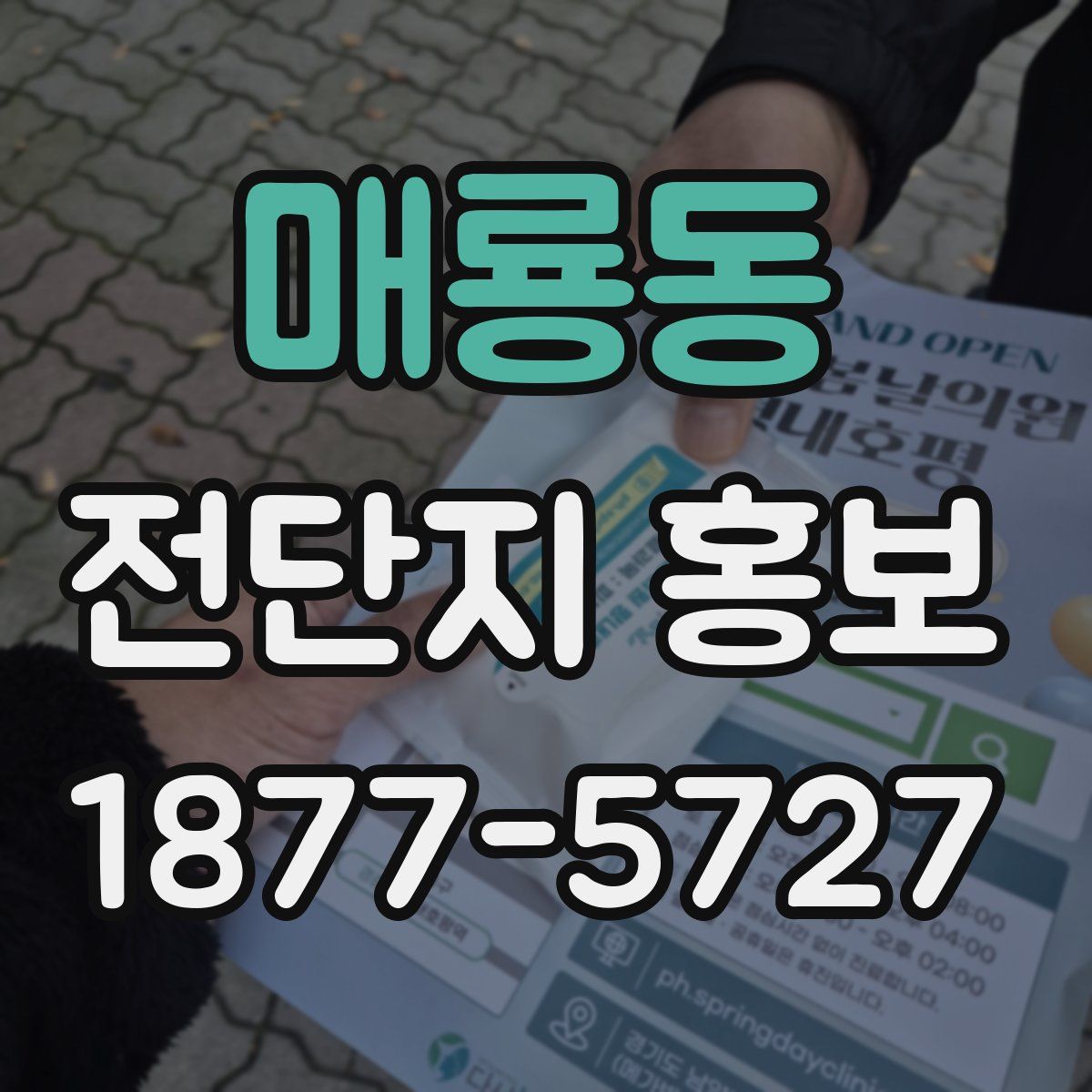 매룡동 전단지 홍보