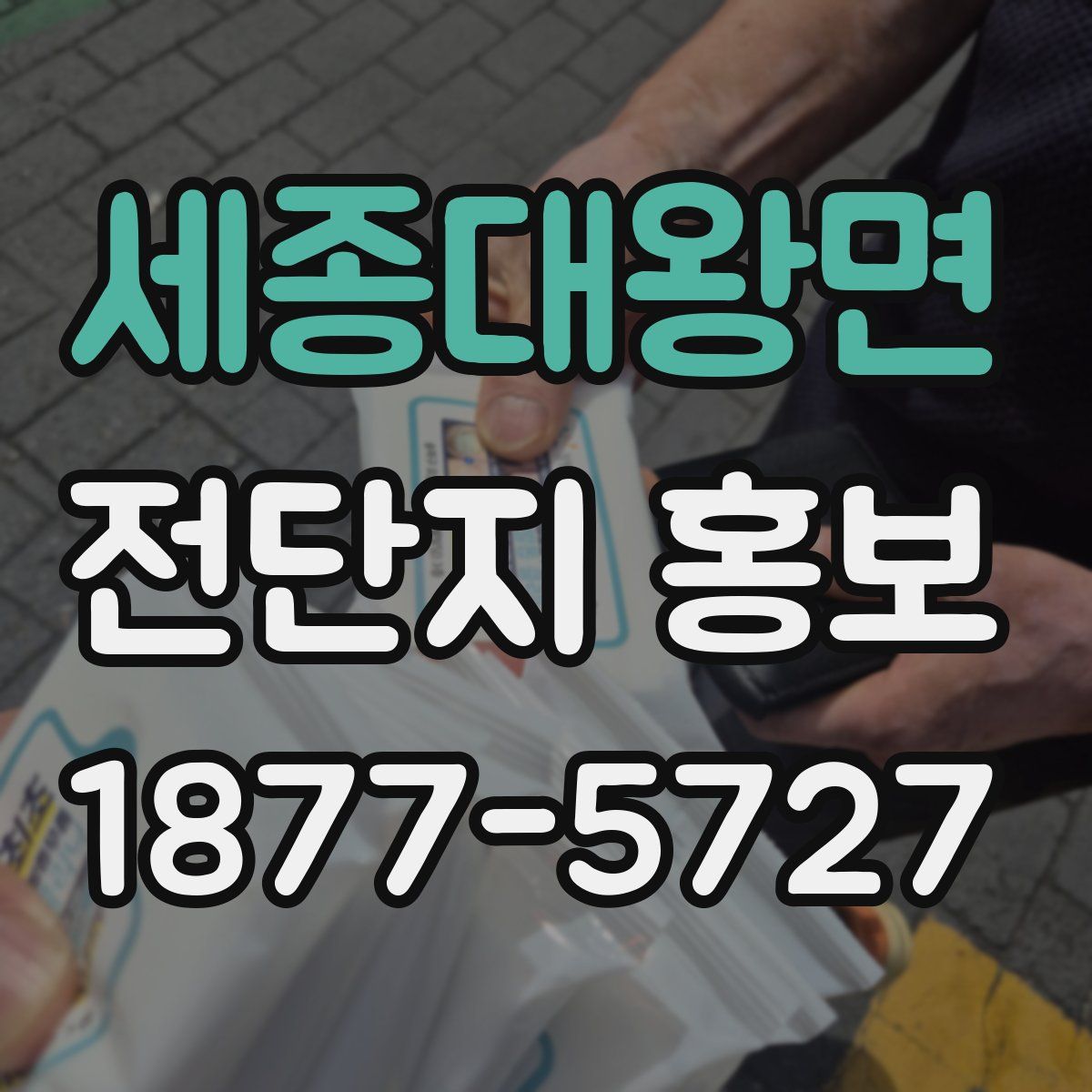 세종대왕면 전단지 홍보